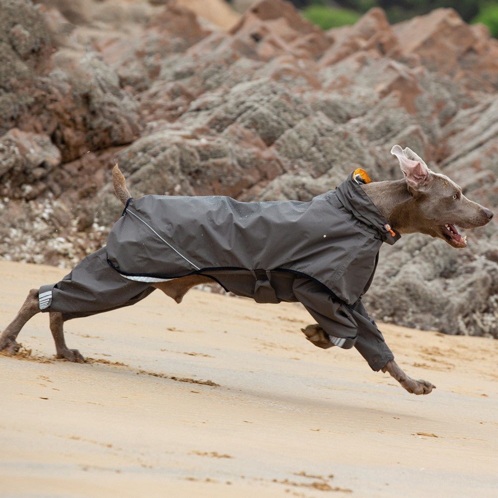 Pet Four-legged Raincoat Medium Large Dog Waterproof Poncho