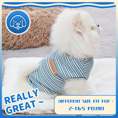 New Arrival Cooling Vest For Dog Designer Dog Clothes Chihuahua Small Dog Summer  Pet Items Dog Pet Shirt Dog Fashion Outfit