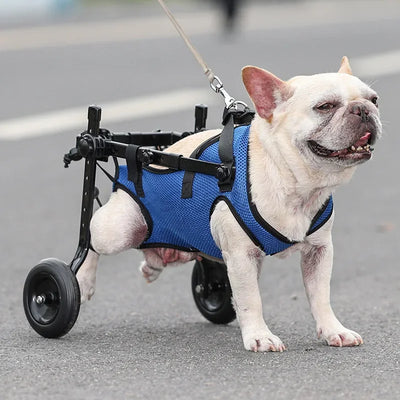 Adjustable Dog Wheelchair Hind Limb Disabled Pet Cat Dogs Mobility Aid Trolley Legs Rehabilitation Light Pet Walk Tools